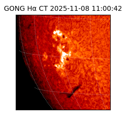 gong - 2025-11-08T11:00:42