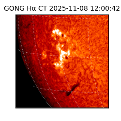 gong - 2025-11-08T12:00:42
