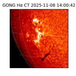 gong - 2025-11-08T14:00:42