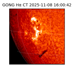 gong - 2025-11-08T16:00:42