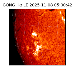 gong - 2025-11-08T05:00:42