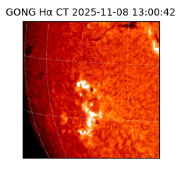 gong - 2025-11-08T13:00:42
