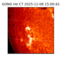 gong - 2025-11-08T15:00:42