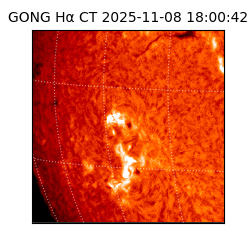 gong - 2025-11-08T18:00:42