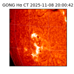 gong - 2025-11-08T20:00:42