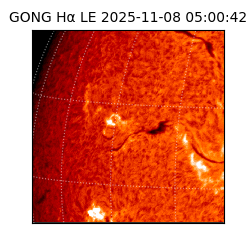 gong - 2025-11-08T05:00:42