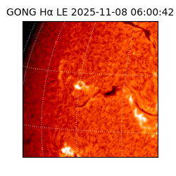 gong - 2025-11-08T06:00:42