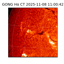 gong - 2025-11-08T11:00:42