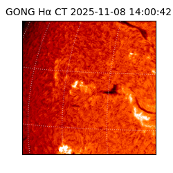 gong - 2025-11-08T14:00:42