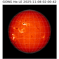 gong - 2025-11-08T02:00:42
