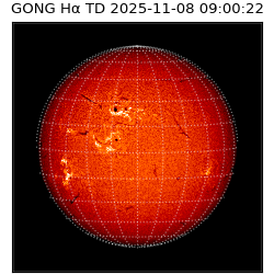 gong - 2025-11-08T09:00:22