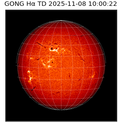 gong - 2025-11-08T10:00:22