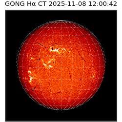 gong - 2025-11-08T12:00:42
