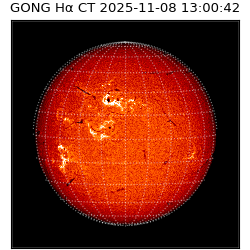 gong - 2025-11-08T13:00:42