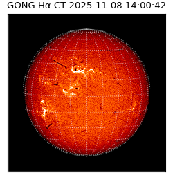 gong - 2025-11-08T14:00:42