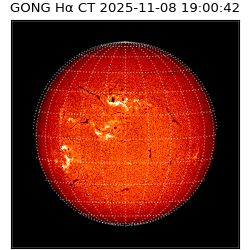 gong - 2025-11-08T19:00:42