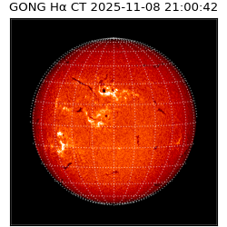 gong - 2025-11-08T21:00:42