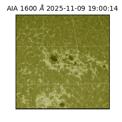 saia - 2025-11-09T19:00:14.126000