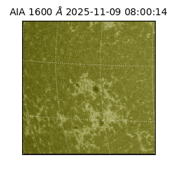 saia - 2025-11-09T08:00:14.125000