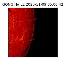 gong - 2025-11-09T05:00:42