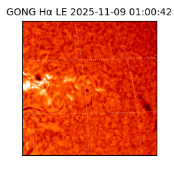 gong - 2025-11-09T01:00:42