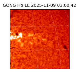 gong - 2025-11-09T03:00:42