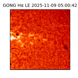 gong - 2025-11-09T05:00:42