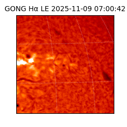 gong - 2025-11-09T07:00:42