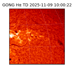 gong - 2025-11-09T10:00:22