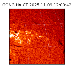 gong - 2025-11-09T12:00:42