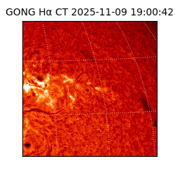 gong - 2025-11-09T19:00:42
