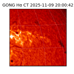 gong - 2025-11-09T20:00:42