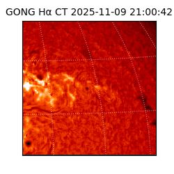 gong - 2025-11-09T21:00:42