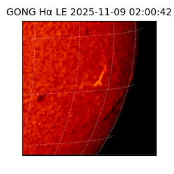 gong - 2025-11-09T02:00:42
