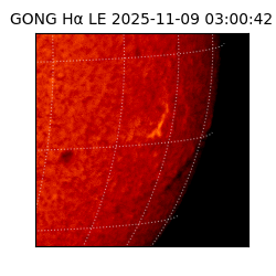 gong - 2025-11-09T03:00:42