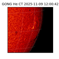gong - 2025-11-09T12:00:42