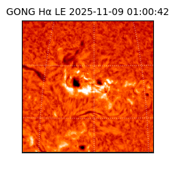 gong - 2025-11-09T01:00:42