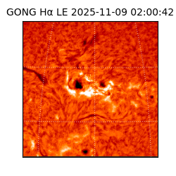 gong - 2025-11-09T02:00:42