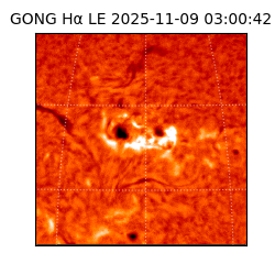 gong - 2025-11-09T03:00:42