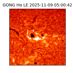 gong - 2025-11-09T05:00:42