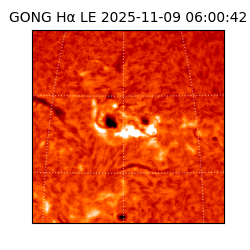 gong - 2025-11-09T06:00:42