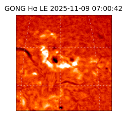 gong - 2025-11-09T07:00:42