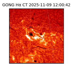 gong - 2025-11-09T12:00:42