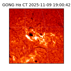 gong - 2025-11-09T19:00:42