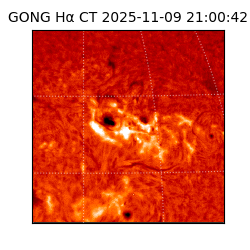 gong - 2025-11-09T21:00:42