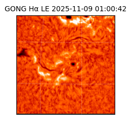 gong - 2025-11-09T01:00:42