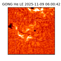 gong - 2025-11-09T06:00:42