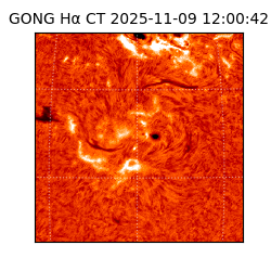 gong - 2025-11-09T12:00:42