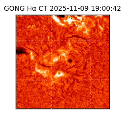 gong - 2025-11-09T19:00:42