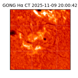 gong - 2025-11-09T20:00:42